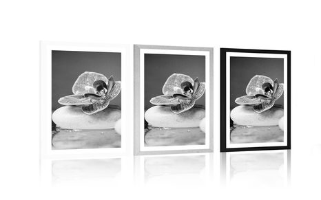 PLAKAT S PASPARTUOM ORHIDEJA I ZEN KAMENJE U CRNO-BIJELOM DIZAJNU - CRNO-BIJELE - PLAKATI