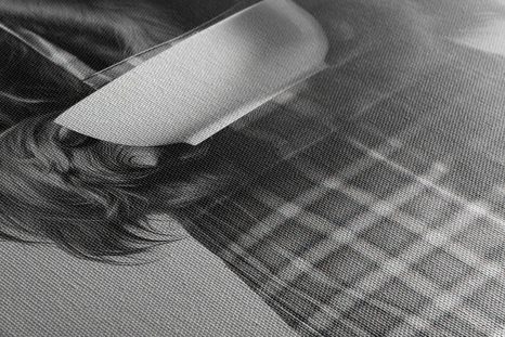 OBRAZ KRÁVA V KUCHYŇSKÉ ZÁSTĚŘE - OBRAZY BUVOLI A KRÁVY - OBRAZY