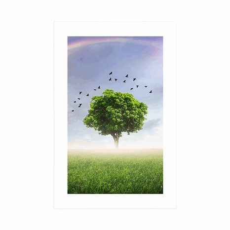 PLAKAT S PASPARTUOM USAMLJENO STABLO NA LIVADI - PRIRODA - PLAKATI