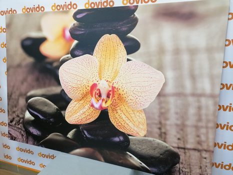 QUADRO SU TELA – ORCHIDEA GIALLA E PIETRE ZEN - STAMPE E QUADRI - 🔥 SVENDITA TOTALE