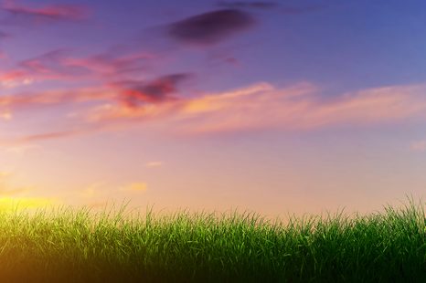 SAMOLEPÍCÍ TAPETA ZÁPAD SLUNCE NAD LOUKOU - SAMOLEPÍCÍ TAPETY - TAPETY