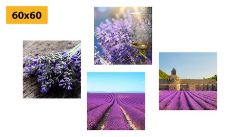 BILDER-SET SCHÖNER LAVENDEL - BILDERSETS - BILDER