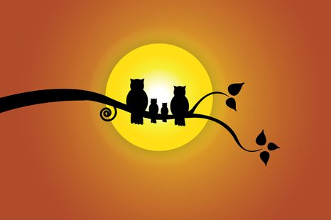 TAPETE EULENFAMILIE AUF DEM BAUMZWEIG - KINDERTAPETEN - TAPETEN