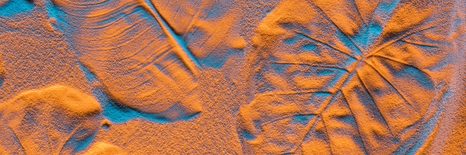 SLIKA ZANIMIVA TEKSTURA LISTOV - SLIKE NARAVE IN POKRAJINE - SLIKE