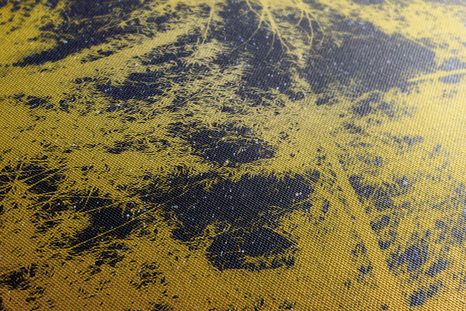 WANDBILD SONNENUNTERGANG IM TROPISCHEN WALD - BILDER BÄUME UND LAUB - BILDER