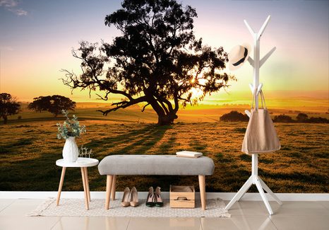 FOTOTAPETA STROM PŘI ZÁPADU SLUNCE - TAPETY PŘÍRODA - TAPETY