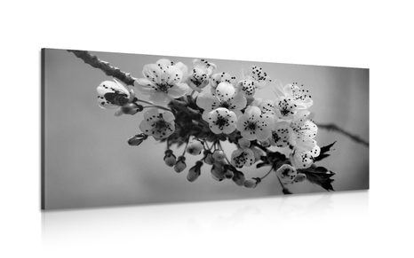 IMPRESSION SUR TOILE BRANCHE DE CERISIER EN FLEUR EN NOIR ET BLANC - IMPRESSIONS SUR TOILE NOIR ET BLANC - IMPRESSION SUR TOILE