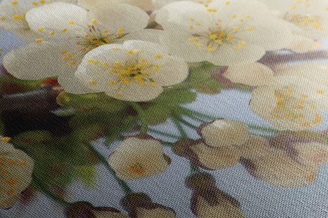 WANDBILD BLÜHENDER KIRSCHBLÜTENZWEIG - BILDER BLUMEN - BILDER