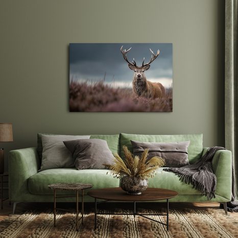 OBRAZ MAJESTÁTNÍ JELEN V PŘÍRODĚ - OBRAZY JELENI - OBRAZY