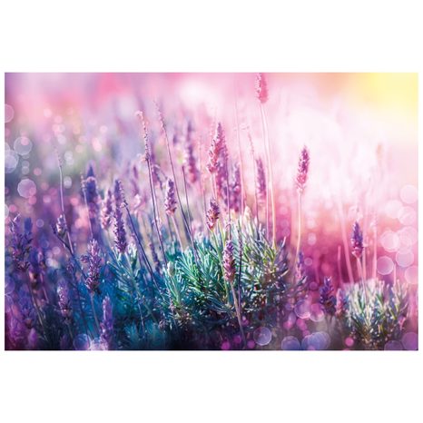 SELBSTKLEBENDE FOTOTAPETE BEZAUBERNDE LAVENDELBLÜTEN - SELBSTKLEBENDE TAPETEN - TAPETEN