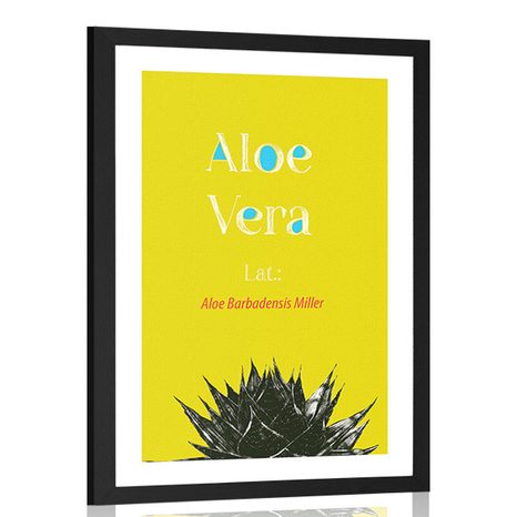 PLAKAT S PASPARTUOM ČUDESNA ALOE VERA - MOTIVI IZ NAŠE RADIONICE - PLAKATI