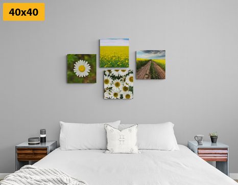 SET OBRAZŮ LOUKA PLNÁ KVĚTIN - SESTAVY OBRAZŮ - OBRAZY
