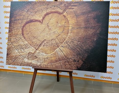 SLIKA IZREZLJANO SRCE NA DEBLU - SLIKE NARAVE IN POKRAJINE - SLIKE