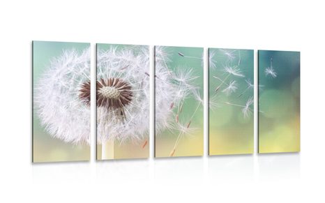 5-PIECE CANVAS PRINT MAGICAL DANDELION - PICTURES FLOWERS - PICTURES