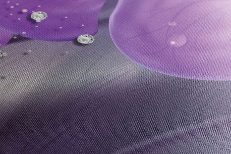 ΕΙΚΌΝΑ ΟΡΧΙΔΈΑΣ ΣΕ ΕΛΛΗΝΙΚΈΣ ΣΤΉΛΕΣ - ΠΊΝΑΚΕΣ ΑΠΌ ΛΟΥΛΟΎΔΙΑ - ΠΊΝΑΚΕΣ