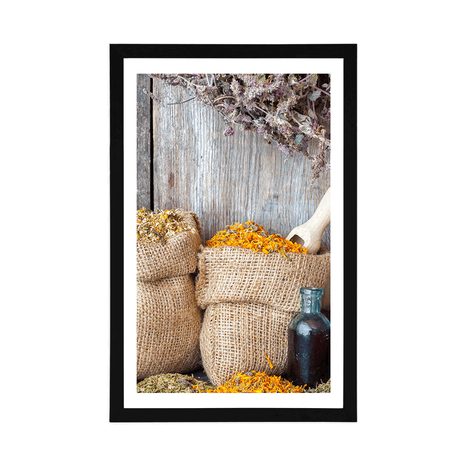POSTER MIT PASSEPARTOUT HEILKRÄUTER - STILLLEBEN - POSTER