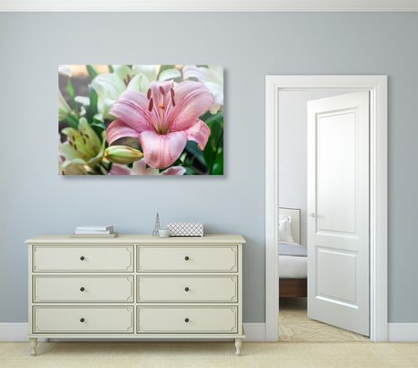 OBRAZ ROZKVETLÉ LILIE V ZAHRADĚ - OBRAZY KVĚTŮ - OBRAZY