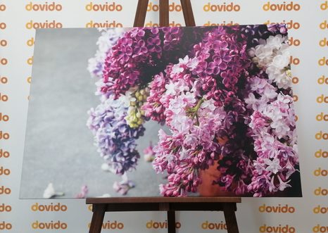 SLIKA ŠPANSKI BEZEG V ROŽNATIH ODTENKIH - SLIKE ROŽ - SLIKE