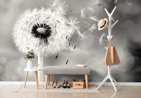 WALL MURAL MAGICAL BLACK AND WHITE DANDELION - WALLPAPERS - 🔥 TOTAL SALE 🔥
