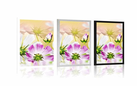 PLAKÁT LETNÍ KVĚTINY - KVĚTINY - PLAKÁTY