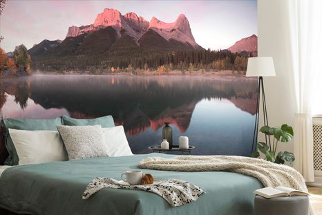 ΤΟΙΧΟΓΡΑΦΊΑ ΗΛΙΟΒΑΣΊΛΕΜΑ ΠΆΝΩ ΑΠΌ ΤΟΥΣ ΔΟΛΟΜΊΤΕΣ - ΤΑΠΕΤΣΑΡΊΑ ΦΎΣΗ - ΤΑΠΕΤΣΑΡΊΕΣ