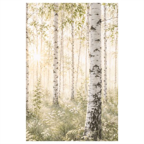 CANVASTAVLA LJUS SKOG MED VITA BJÖRKAR - TAVLOR MED SKOG - TAVLOR