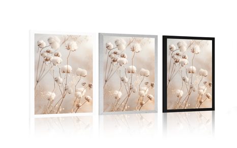 PLAKÁT NADÝCHANÁ BAVLNA - BOTANICKÉ - PLAKÁTY