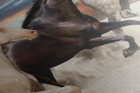 КАРТИНА НА ПЛАТНО – СТАДО КОНЕ - КАРТИНИ НА ЖИВОТНИ - КАРТИНИ