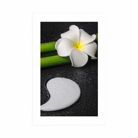 PLAKAT S PASPARTUJEM SPA TIHOŽITJE S SIMBOLOM JIN IN JANG - FENG SHUI - PLAKATI