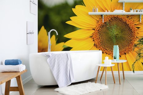 FOTOTAPETE GELBE SONNENBLUME - TAPETEN MIT BLUMENMOTIVEN - TAPETEN