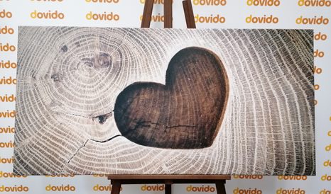 FOTO OP CANVAS SYMBOOL VAN LIEFDE - SCHILDERIJEN - MEGA UITVERKOOP TOT 70% 🔥