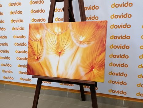 КАРТИНА НА ПЛАТНО – ГЛУХАРЧЕ В ПРЕКРАСНО ИЗПЪЛНЕНИЕ - КАРТИНИ С ЦВЕТЯ - КАРТИНИ