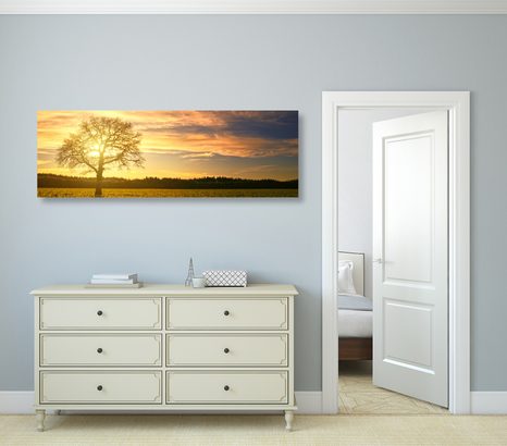 OBRAZ OSAMĚLÉHO STROMU - OBRAZY PŘÍRODY A KRAJINY - OBRAZY