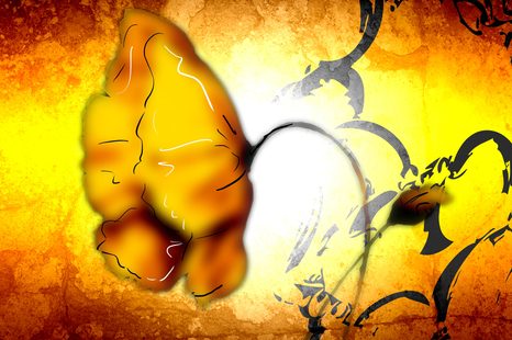 OBRAZ ETNO KVĚT - ABSTRAKTNÍ OBRAZY - OBRAZY