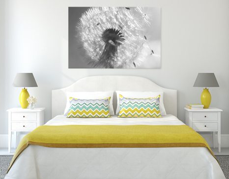 CANVAS PRINT DETAIL OF A DANDELION IN BLACK AND WHITE - BLACK AND WHITE PICTURES - PICTURES