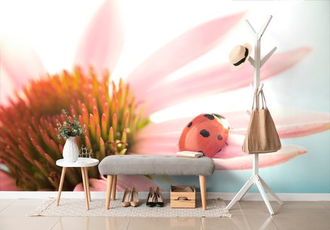 SAMOLEPÍCÍ FOTOTAPETA BERUŠKA NA ECHINACEI - SAMOLEPÍCÍ TAPETY - TAPETY