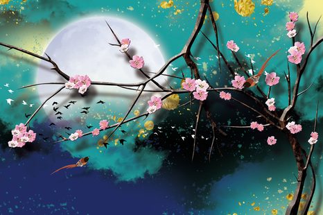 CARTA DA PARATI – RAMI D'ALBERO MAGICI - CARTA DA PARATI SPAZIO E STELLE - CARTA DA PARATI