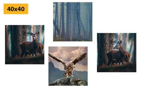 KÉPSZETT ERDEI ZUGOK - KÉPSZETTEK - KÉPEK