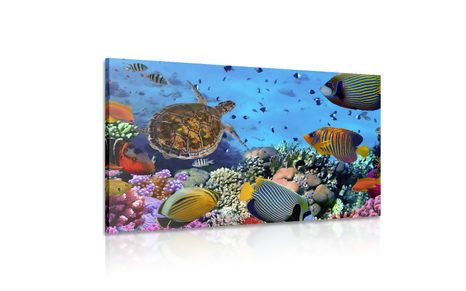 STAMPA SU TELA – MONDO SOTTOMARINO - QADRI DI ANIMALI MARINI - STAMPE E QUADRI
