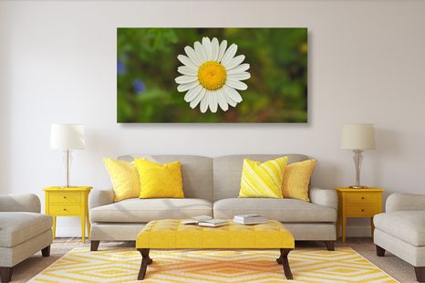 OBRAZ KWIAT MARGERYTKI - OBRAZY KWIATÓW - OBRAZY