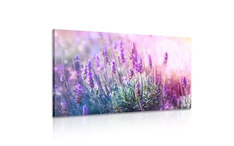 КАРТИНА НА ПЛАТНО – МАГИЧЕСКИ ЦВЕТОВЕ НА ЛАВАНДУЛА - КАРТИНИ С ЦВЕТЯ - КАРТИНИ
