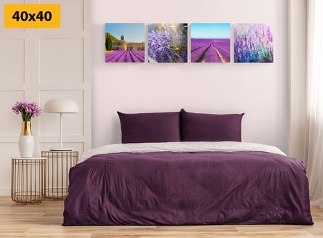 SET OBRAZŮ PRO MILOVNÍKY LEVANDULE - SESTAVY OBRAZŮ - OBRAZY