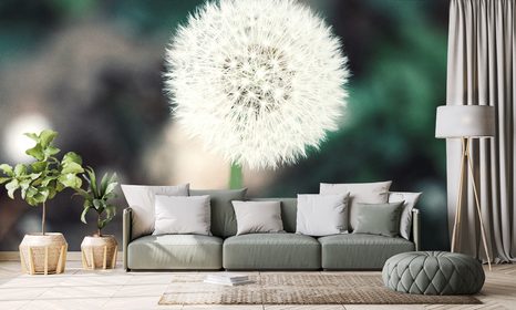 SAMOLEPÍCÍ FOTOTAPETA NADÝCHANÝ KLOBOUČEK PAMPELIŠKY - SAMOLEPÍCÍ TAPETY - TAPETY