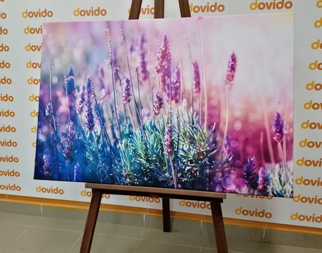 КАРТИНА НА ПЛАТНО – МАГИЧЕСКИ ЦВЕТОВЕ НА ЛАВАНДУЛА - КАРТИНИ С ЦВЕТЯ - КАРТИНИ