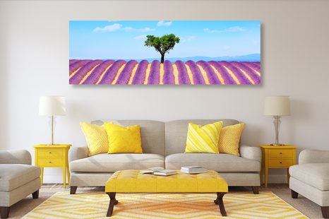 ΕΙΚΌΝΑ ΧΩΡΆΦΙ ΜΕ ΛΕΒΆΝΤΑ ΤΗΣ ΠΡΟΒΗΓΚΊΑΣ - ΠΊΝΑΚΕΣ ΦΎΣΗΣ ΚΑΙ ΤΟΠΊΟΥ - ΠΊΝΑΚΕΣ