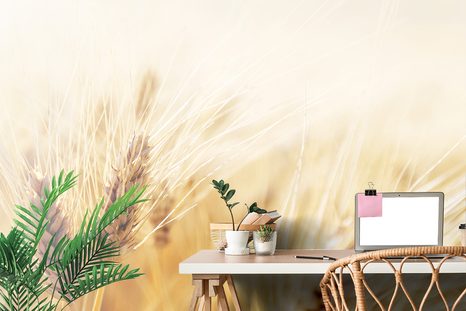 CARTA DA PARATI – CAMPO DI GRANO - CARTA DA PARATI NATURA - CARTA DA PARATI