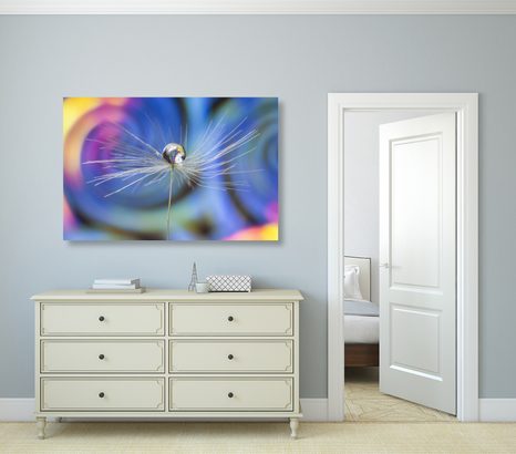 OBRAZ KVAPKA ROSY NA FAREBNOM POZADÍ - OBRAZY KVETOV - OBRAZY