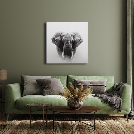 OBRAZ SLONÍ SÍLA A KLID - OBRAZY SLONI - OBRAZY