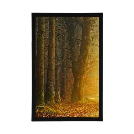 PLAKAT POT V GOZDU - NARAVA - PLAKATI