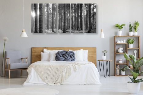 5-RÉSZES KÉP REGGEL AZ ERDŐBEN FEKETE FEHÉRBEN - FEKETE-FEHÉR KÉPEK - KÉPEK